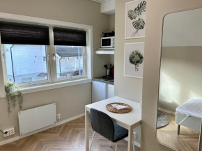 Modern Central Apartment Apt 203 Studio